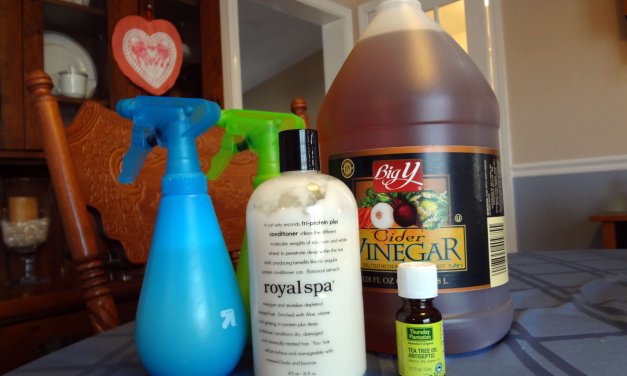 “Homemade” Leave-in Conditioner – Great For Repelling Lice