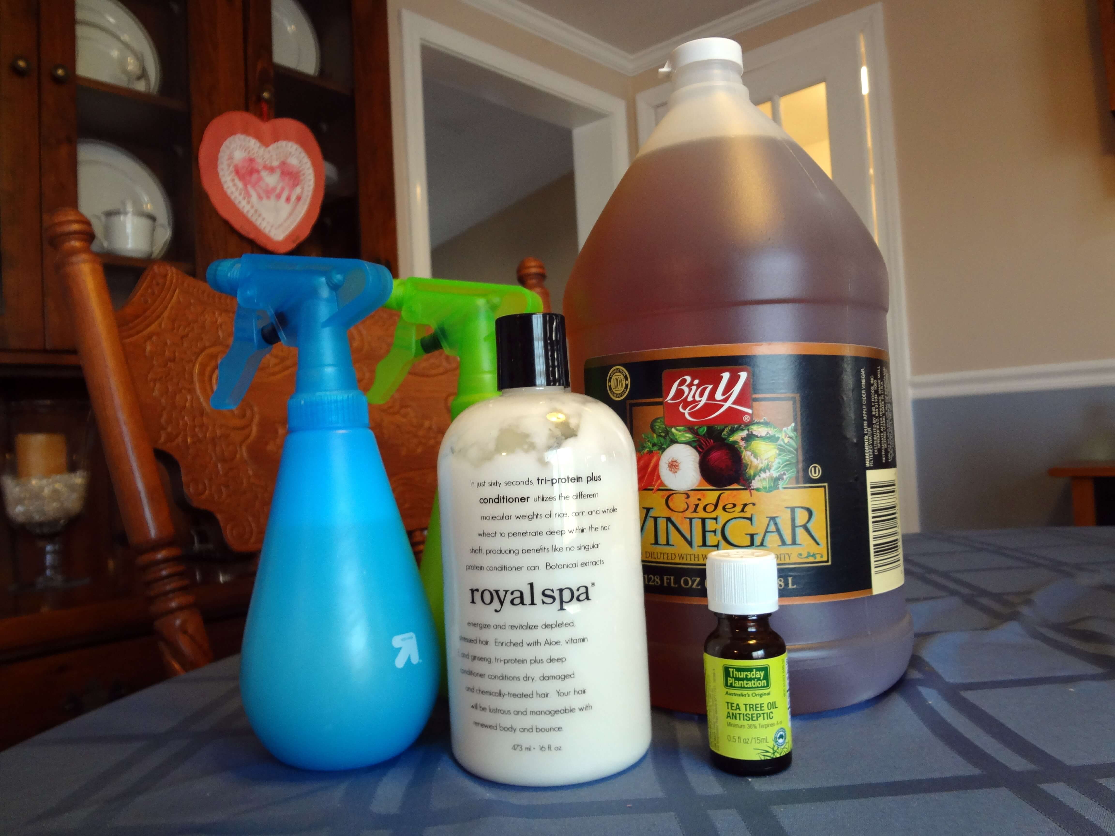 homemade-leave-in-conditioner-great-for-repelling-lice-creating