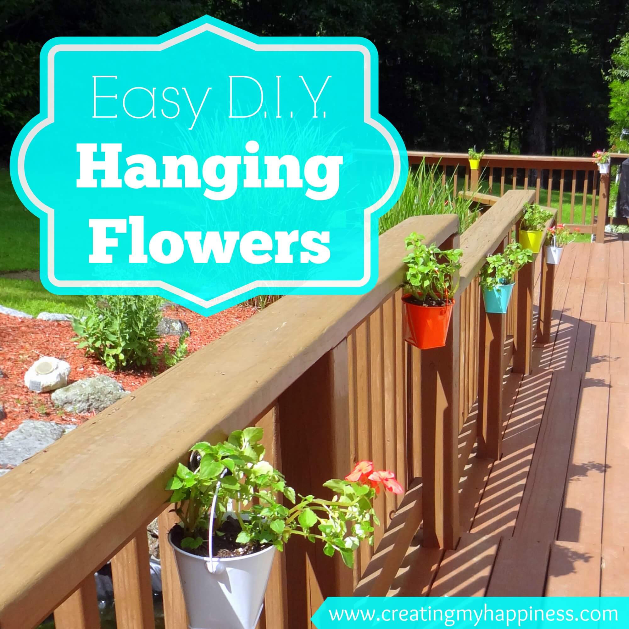 Cheap DIY Hanging Flower Pots Creating My Happiness   Flowers 2 