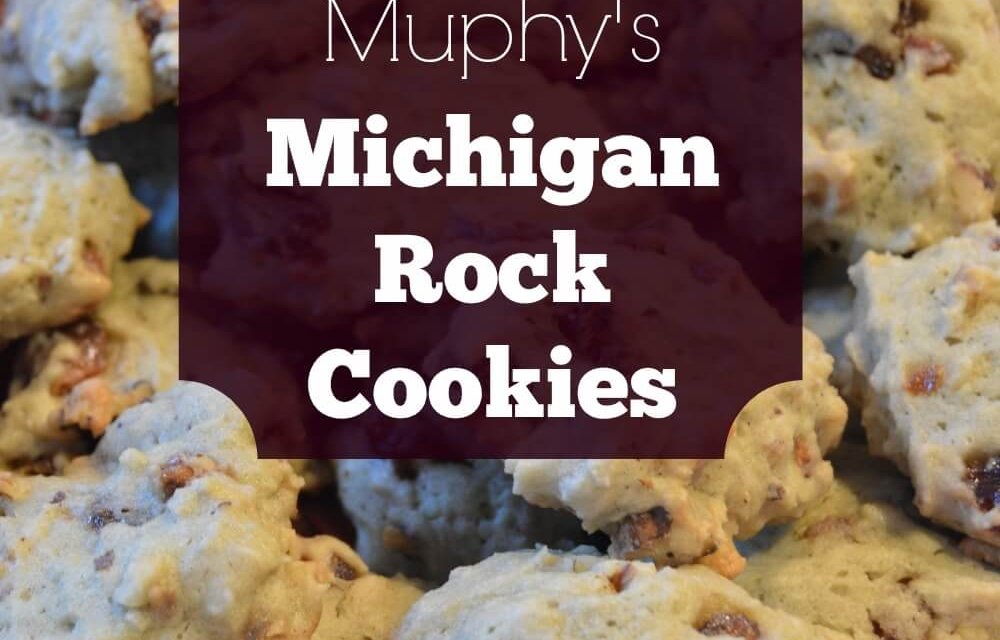 Michigan Rock Cookies