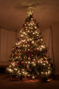 christmas-tree-226543_1280