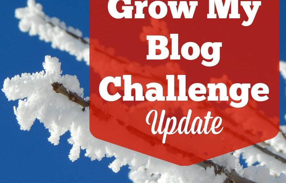 January Blog Challenge Stats