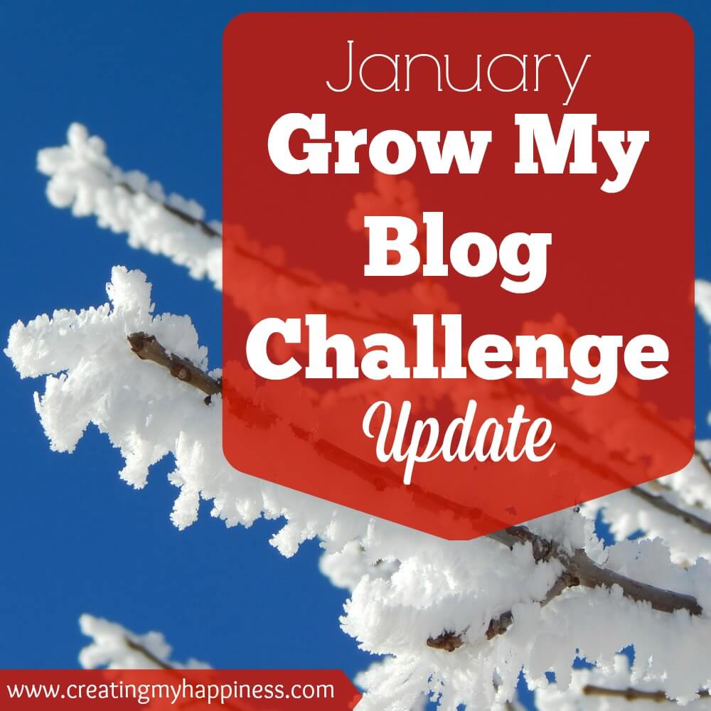January Blog Challenge Stats - Creating My Happiness