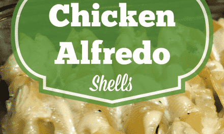 Stuffed Chicken Alfredo Shells