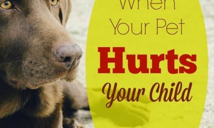 When Your Pet Hurts Your Child
