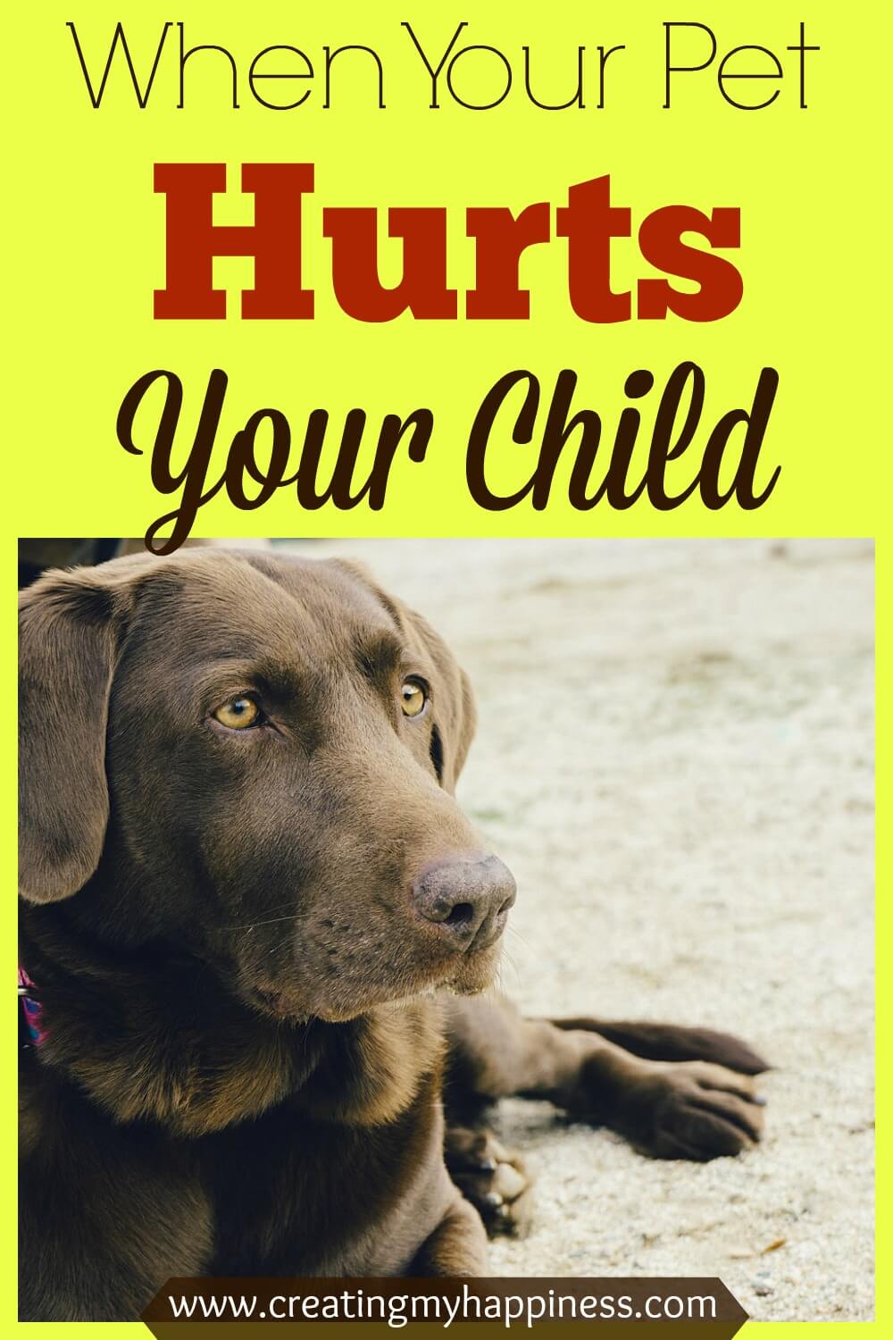 Pet Hurts Child 3