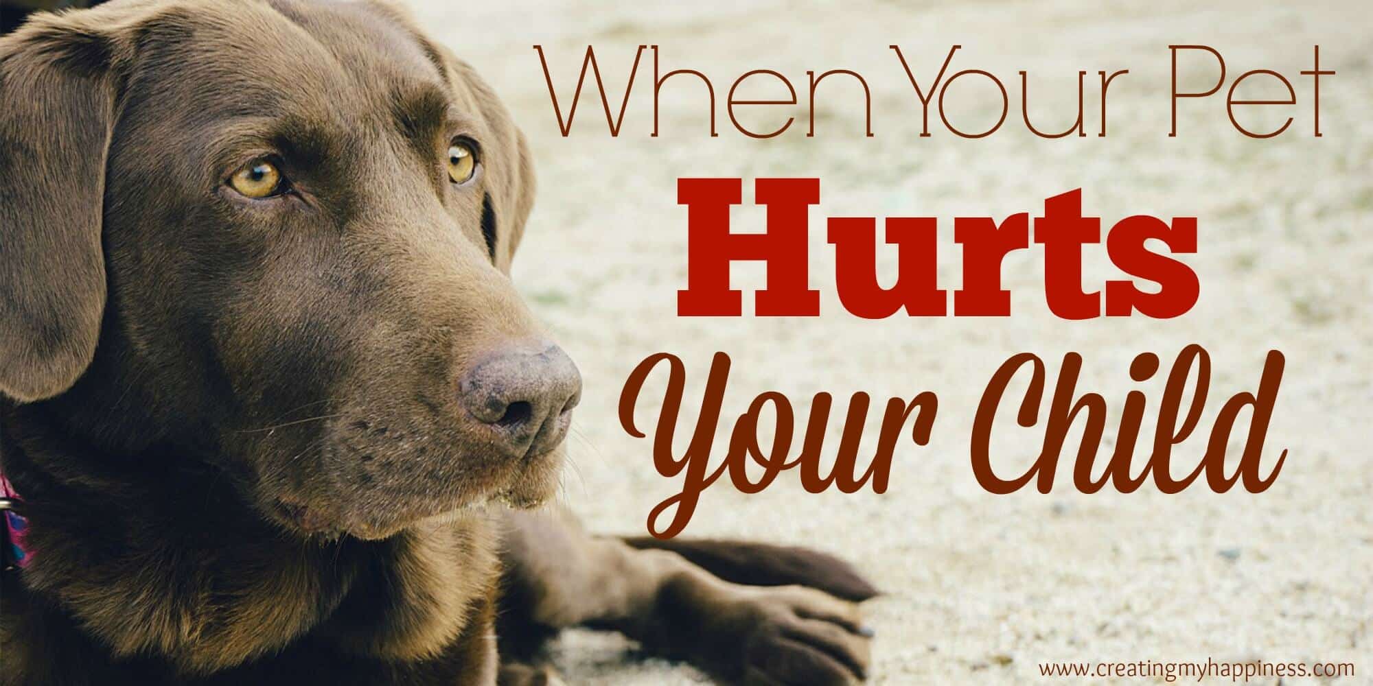 Pet Hurts Child