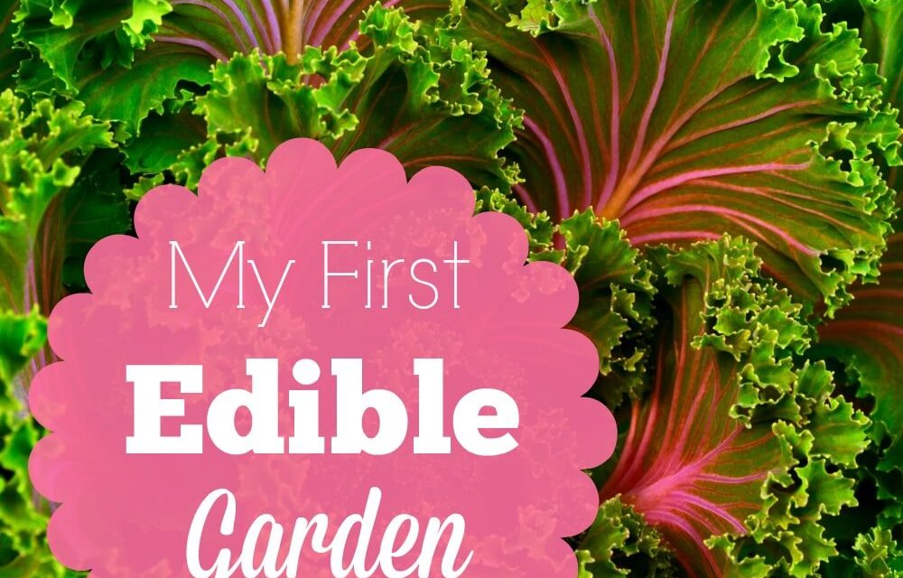 My First Edible Garden