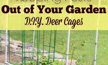 Keeping Pests Out of Your Garden: D.I.Y. Deer Cages