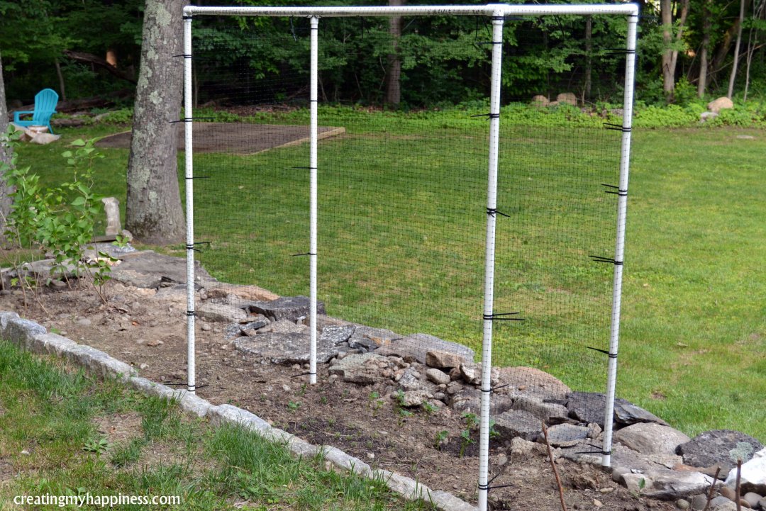 Keeping Pests Out of Your Garden: D.I.Y. Deer Cages | Creating My Happiness