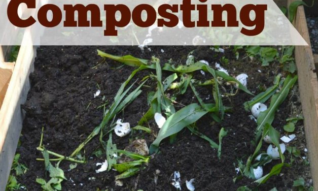 1st Steps in Composting