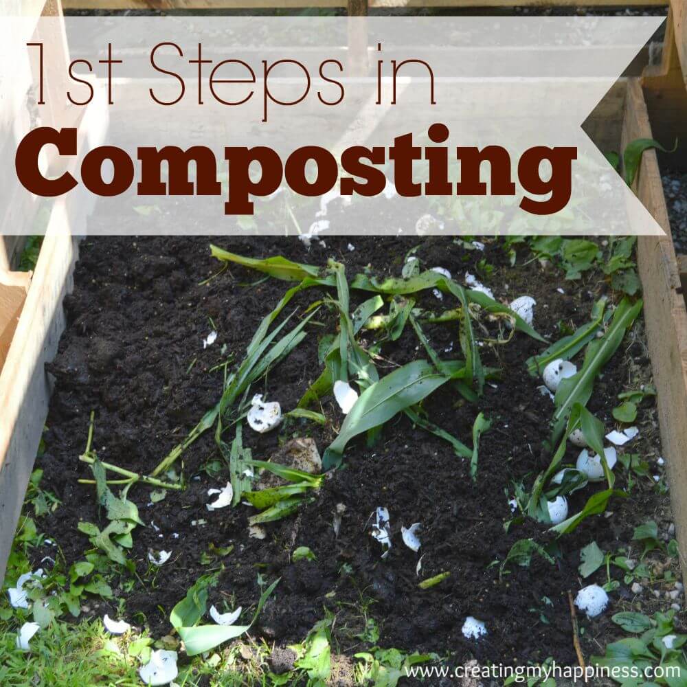 1st Steps in Composting Creating My Happiness