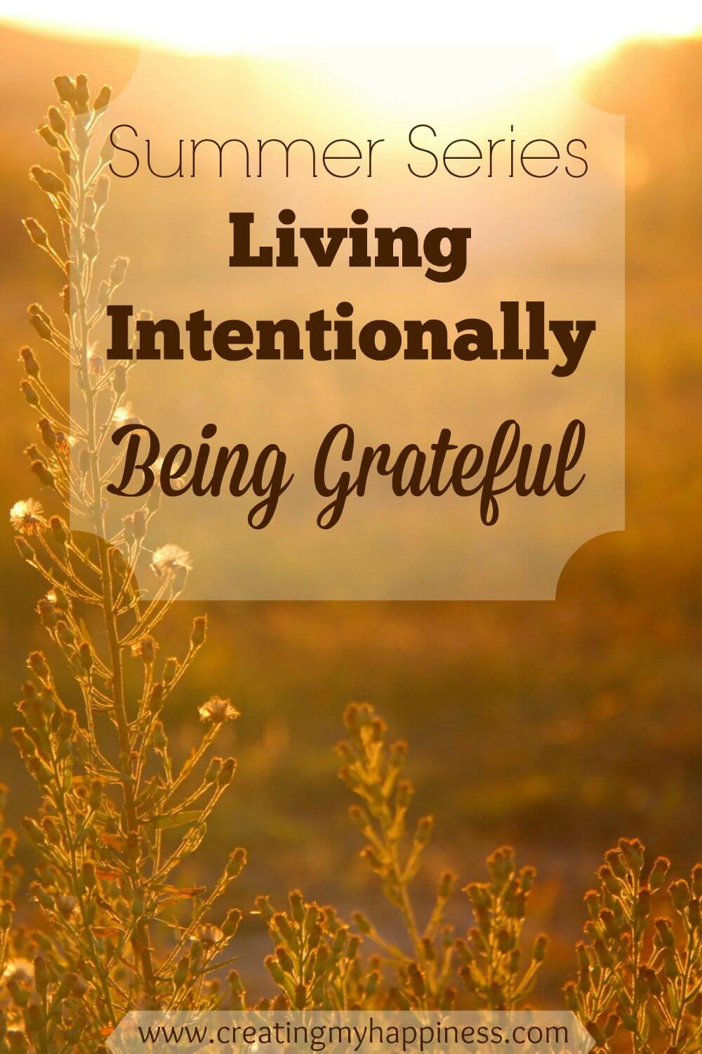 Being grateful is the key to an intentional life. Only when we notice all the blessings around us will we stop searching for them elsewhere.