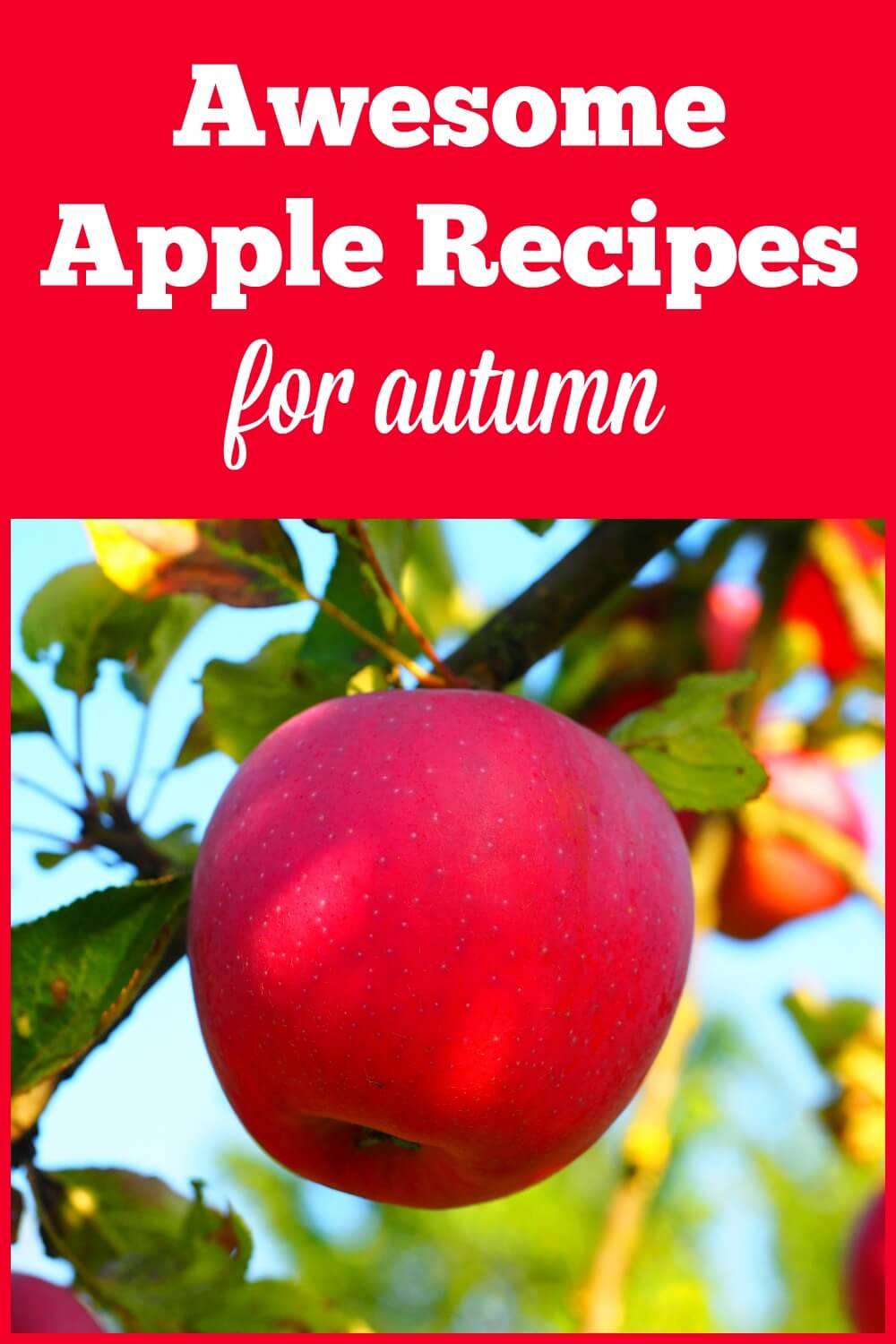 Pumpkin might be the reigning king of autumn right now, but there are some pretty amazing apple recipes out there, too! Check out my top 10.