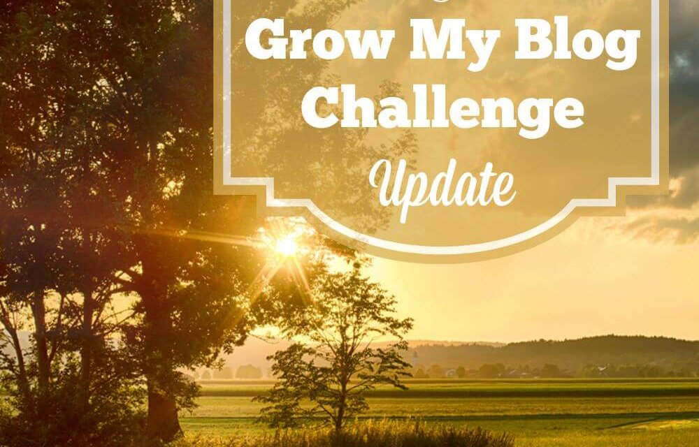 August Grow My Blog Challenge Update