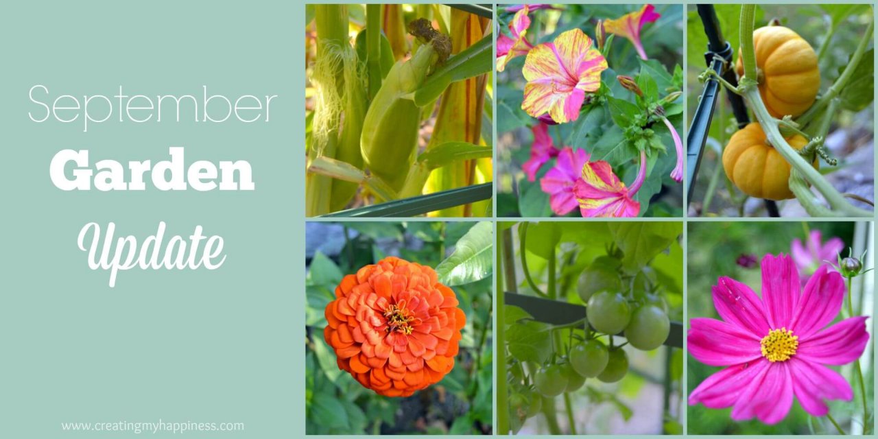 September Garden Update