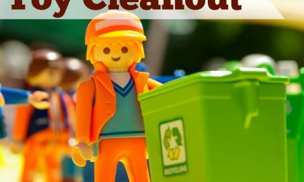 How to Do a Toy Cleanout