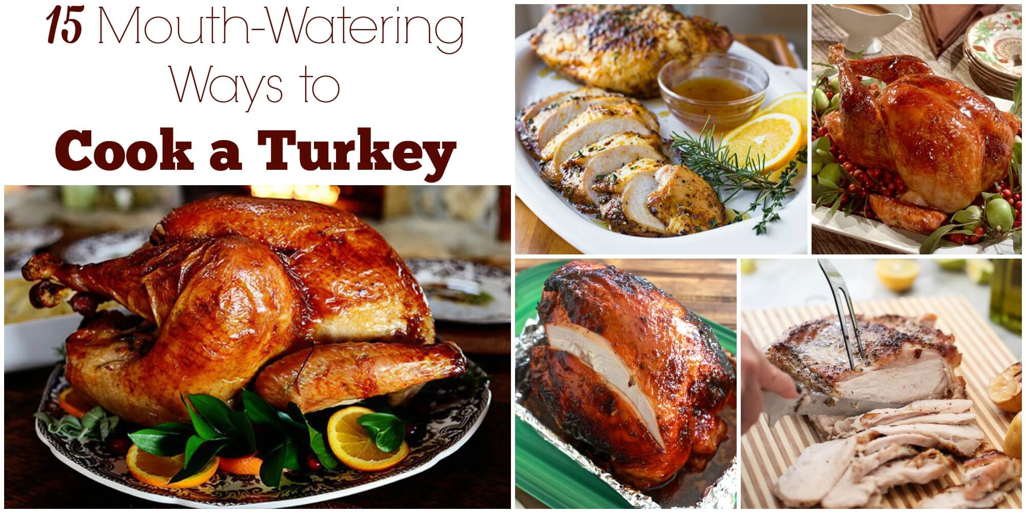 15 MouthWatering Ways to Cook a Turkey