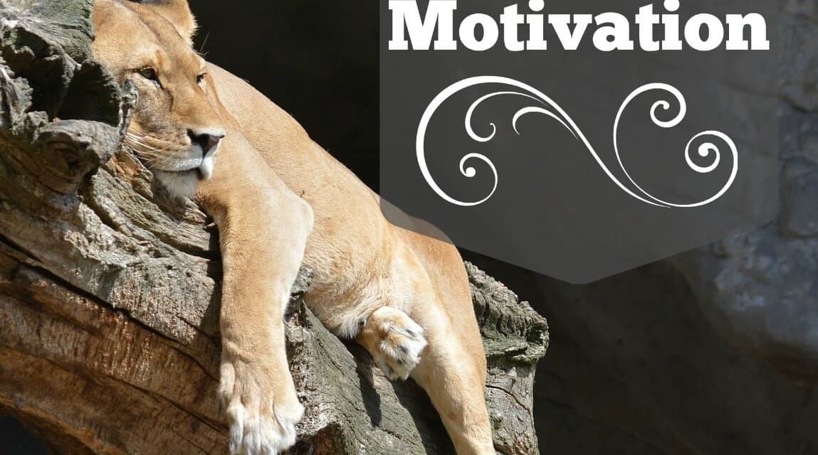Finding Your Motivation