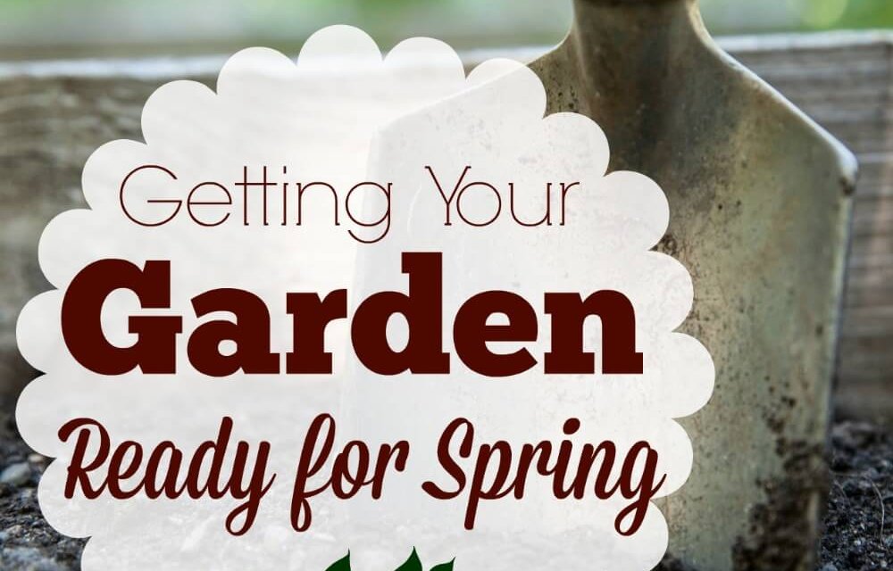 Getting Your Garden Ready for Spring