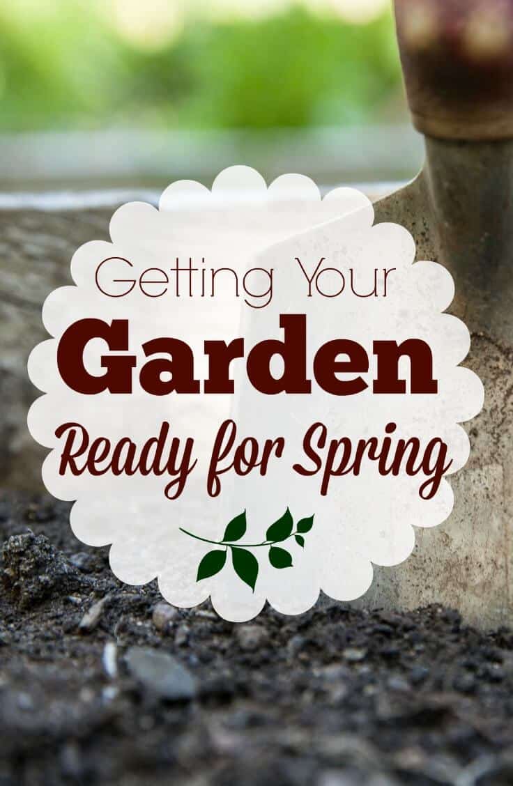 Spring is coming. Is your garden ready? Follow these simple tips whether you're a new gardener or have a few buds under your belt.