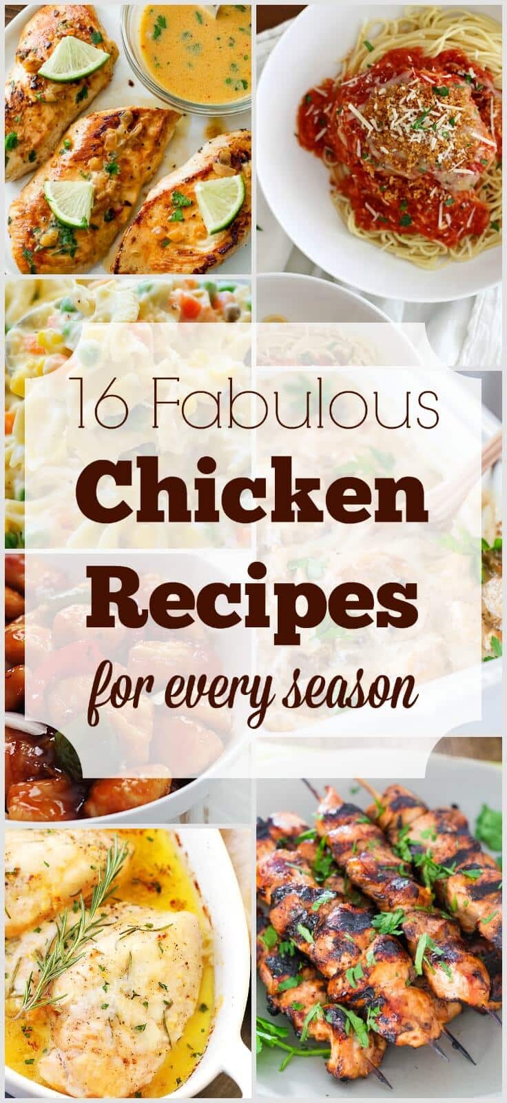 Winter, spring, summer, or fall... here are 16 great chicken recipes for them all!