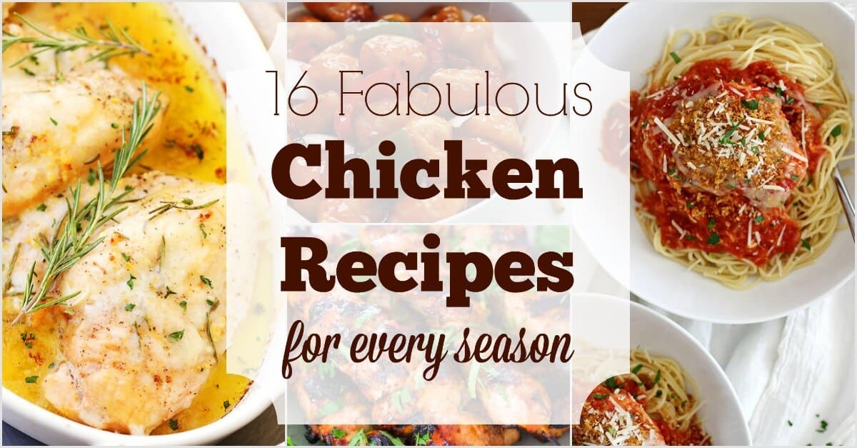 Winter, spring, summer, or fall... here are 16 great chicken recipes for them all!