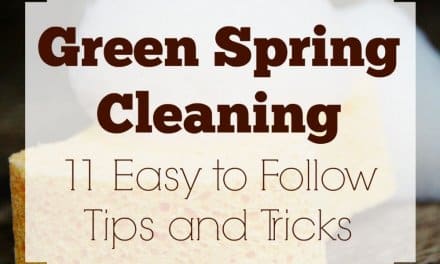 11 Tips and Tricks for Green Spring Cleaning