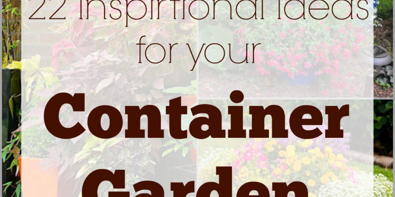 22 Inspirational Ideas for Your Container Garden