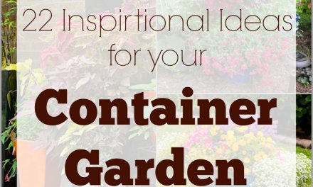 22 Inspirational Ideas for Your Container Garden