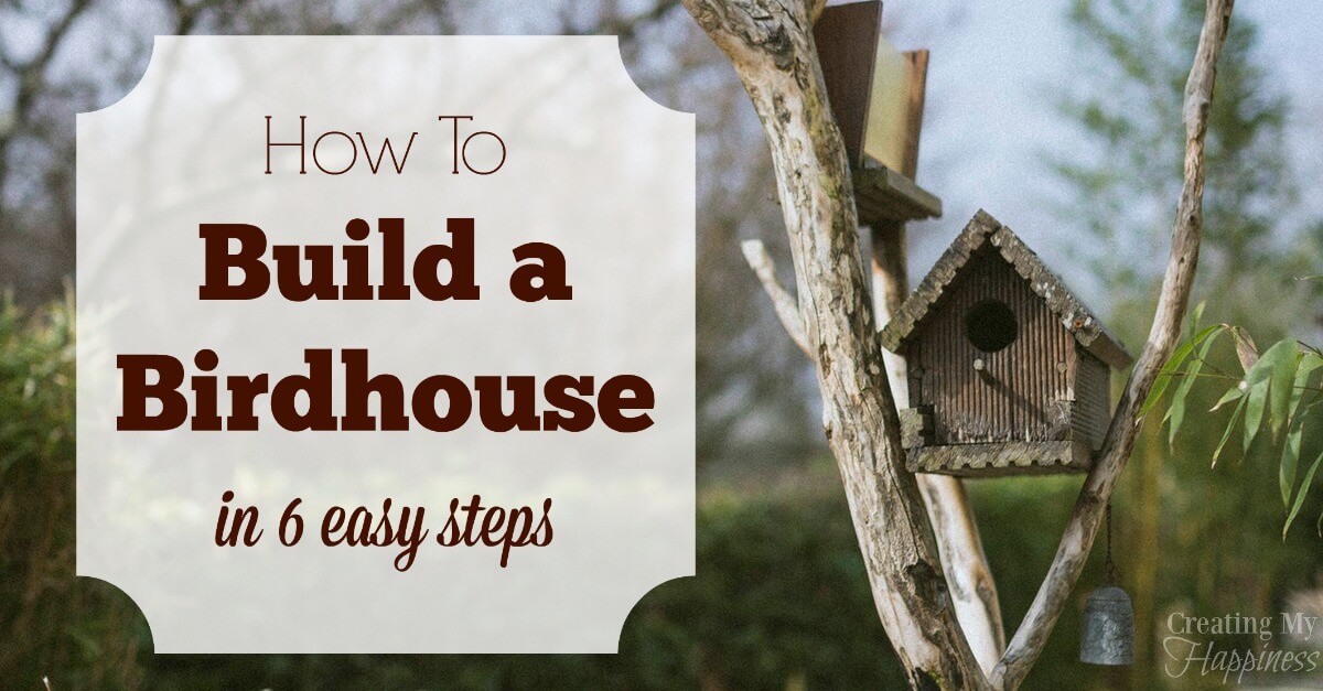 How to Build a Birdhouse in 6 Easy Steps Creating My Happiness