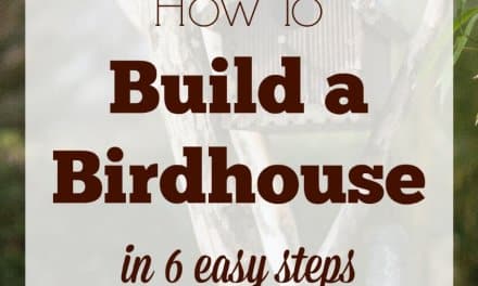 How to Build a Birdhouse in 6 Easy Steps