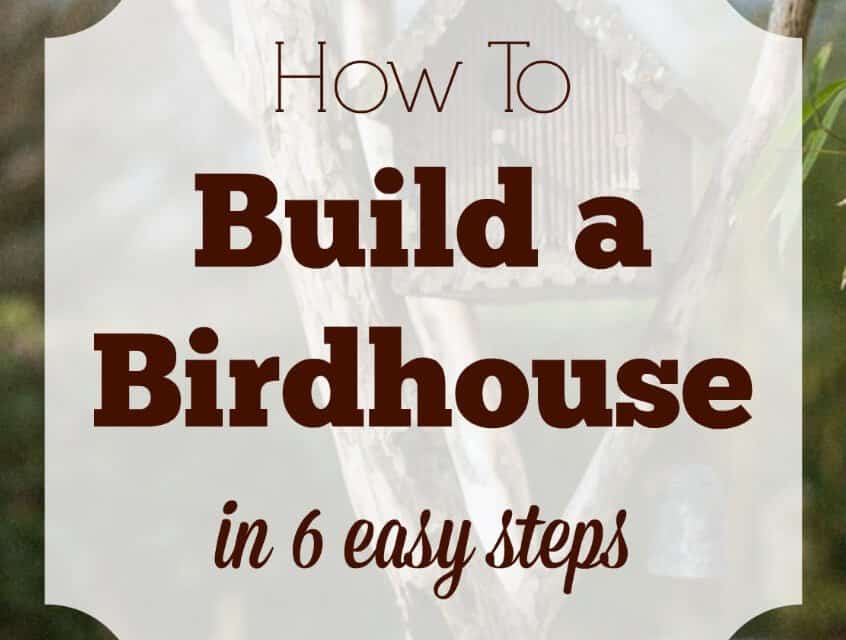 How to Build a Birdhouse in 6 Easy Steps