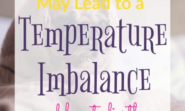 5 Issues that Lead to a Temperature Imbalance in Your House… and what to do about them